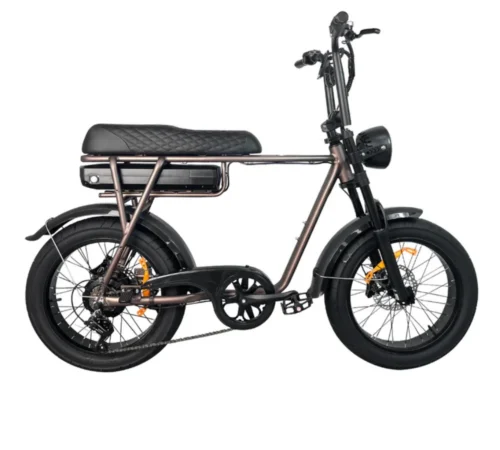 EB2 PRO | Fatbike | 250W | Kaffeefarbe