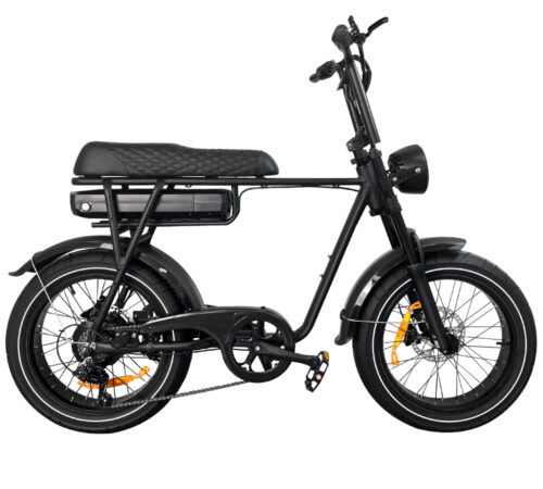 EB2 Pro | Fatbike | Schwarz | Torque Sensor
