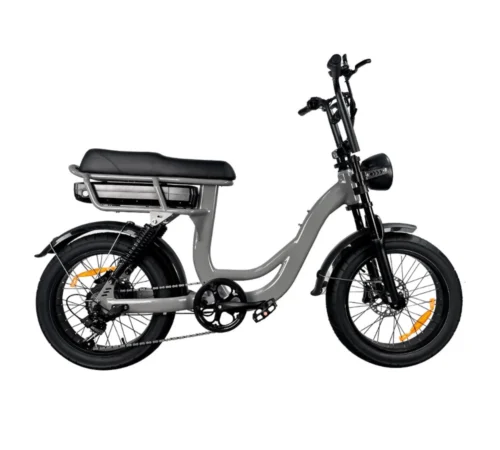 EB8 Pro | Fatbike 2026 | 250W | Grau