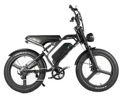 V20 Pro Fatbike | 24 inch | Schwarz