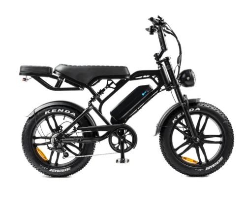 V20 Pro Fatbike | 250W | Elektrisches Fatbike