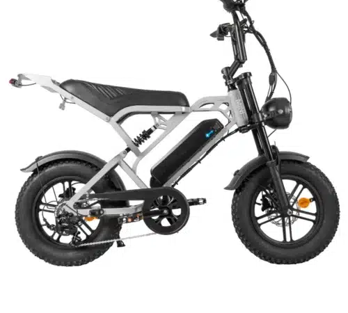 V20 Pro Mini-Fatbike | 250-Watt